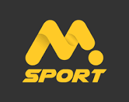 Msport Logo